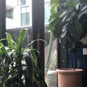 Meet your Posher, Cara